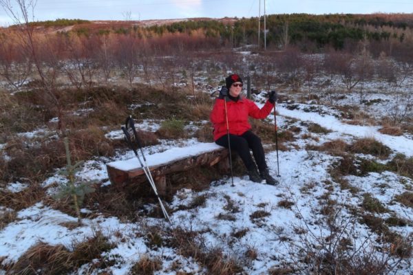 Smalaholt - Skograekt Gardabaejar00012