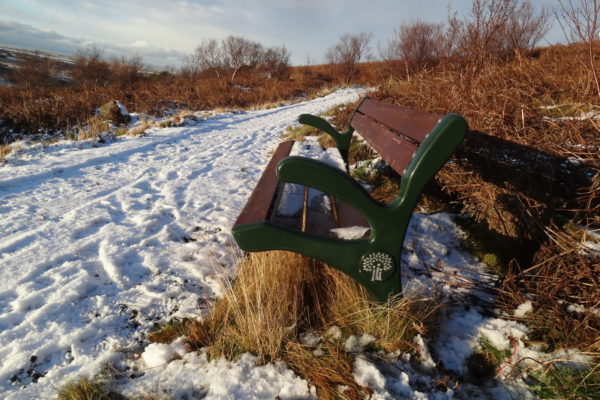 Smalaholt - Skograekt Gardabaejar00013